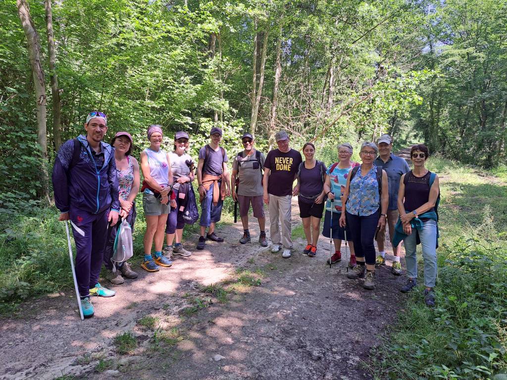 une douzaine de personnes sur un sentier en forêt